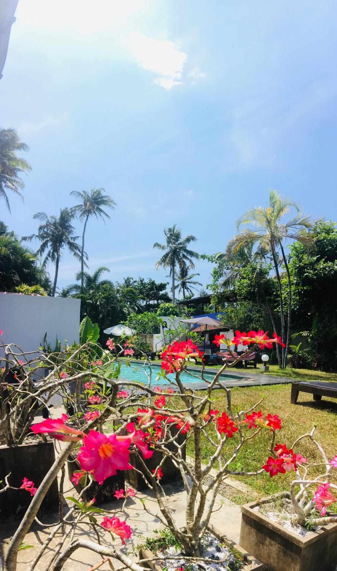 Turtle Eco Beach 마타라 외부 사진