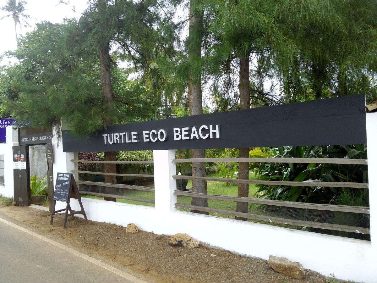 Turtle Eco Beach 호텔 마타라 외부 사진