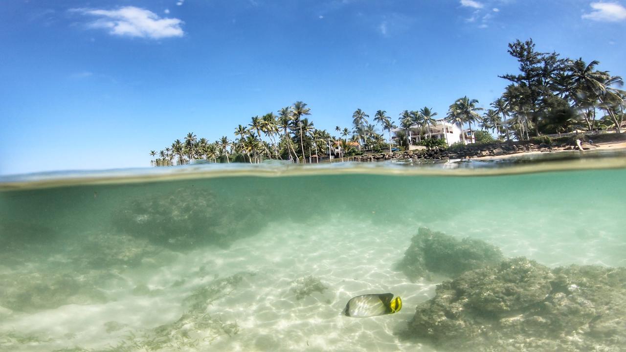 Turtle Eco Beach 호텔 마타라 외부 사진