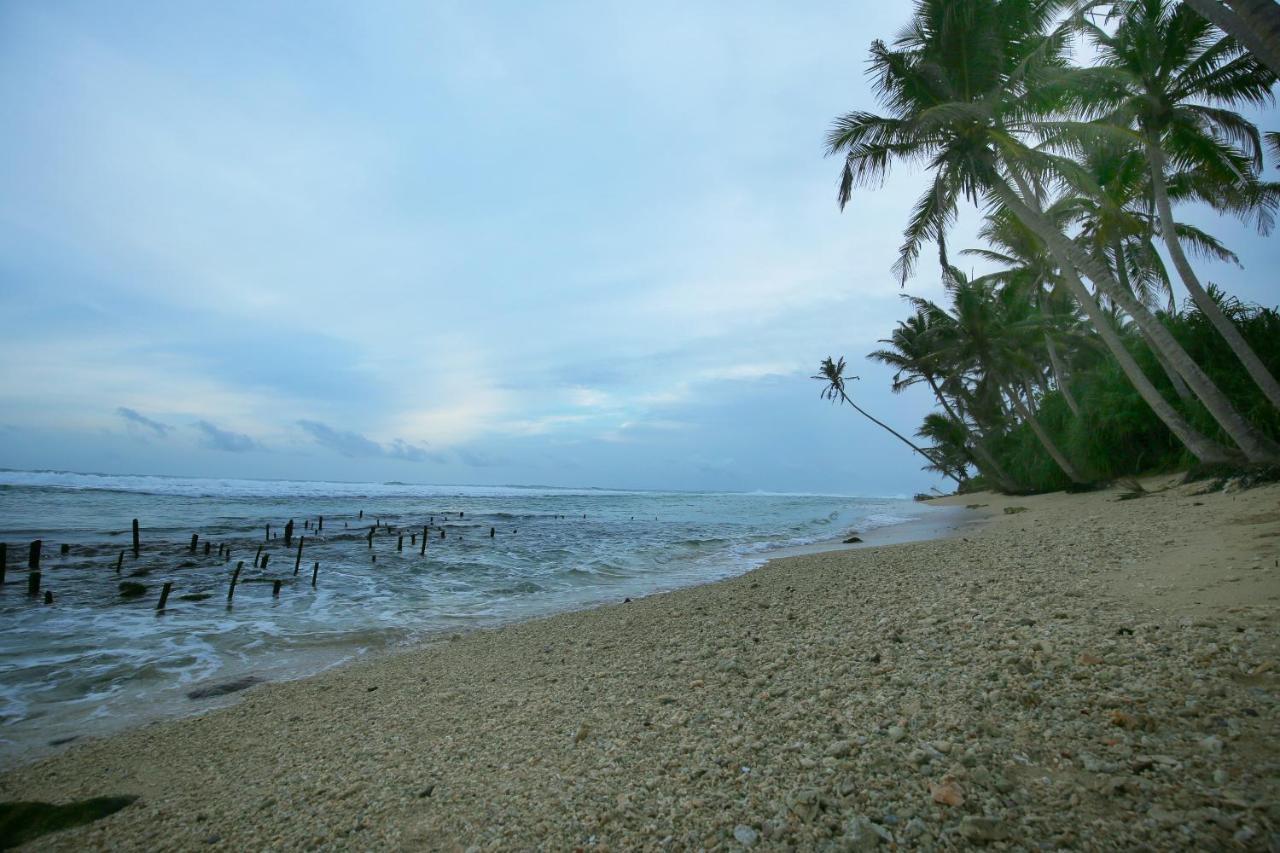 Turtle Eco Beach 마타라 외부 사진